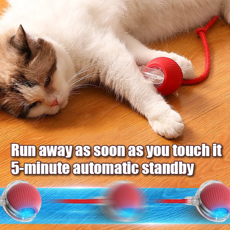 Pelota Interactiva Inteligente para Gatos - ZIPTAIL